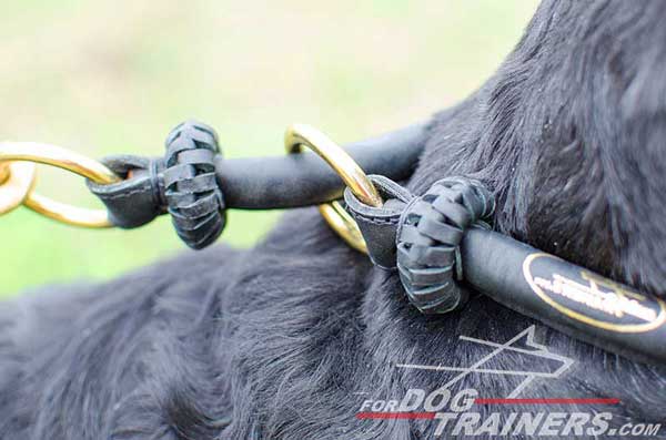 Corrosion Resistant Brass Rings for Attach the Leash