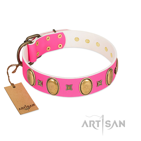 Designer FDT Artisan leather dog collar for comfortable wear