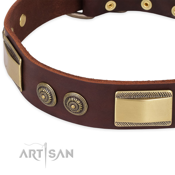 Designer Leather Dog Collar of Brown Color