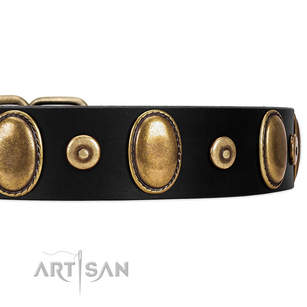 Bronze-Like Plated Medallions and Studs on Black Leather Dog Collar