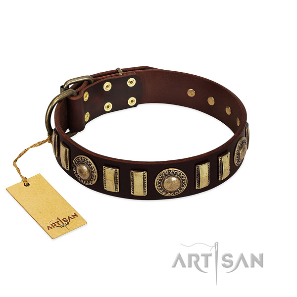 Trendy Dog Collar Decorated with Fashionable Oval Plates and Tiles