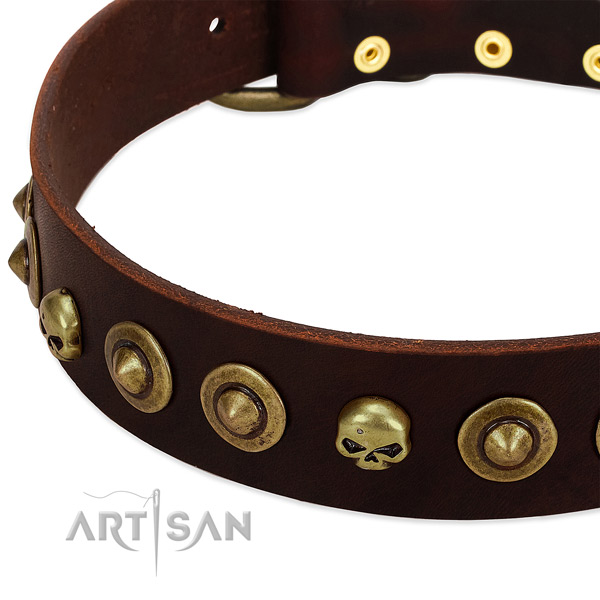 Fancy Walking Brown Leather Dog Collar with Circles and Skulls