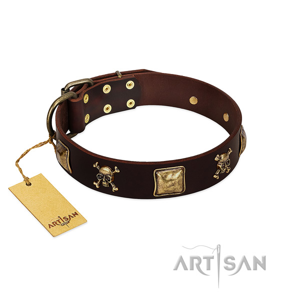 Brown Leather Dog Collar with Durable Buckle and D-Ring