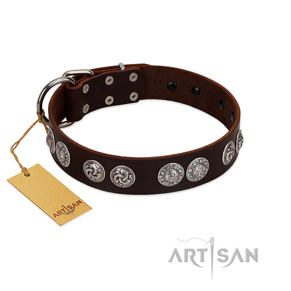 Handcrafted brown leather dog collar with medallions