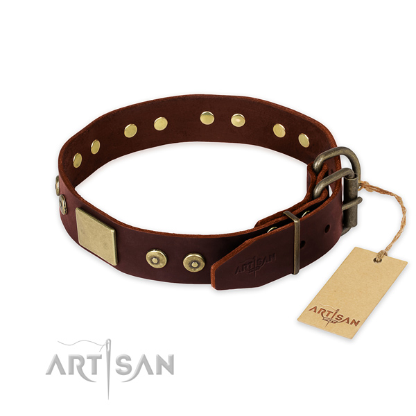 Brown leather dog collar for reliable daily use