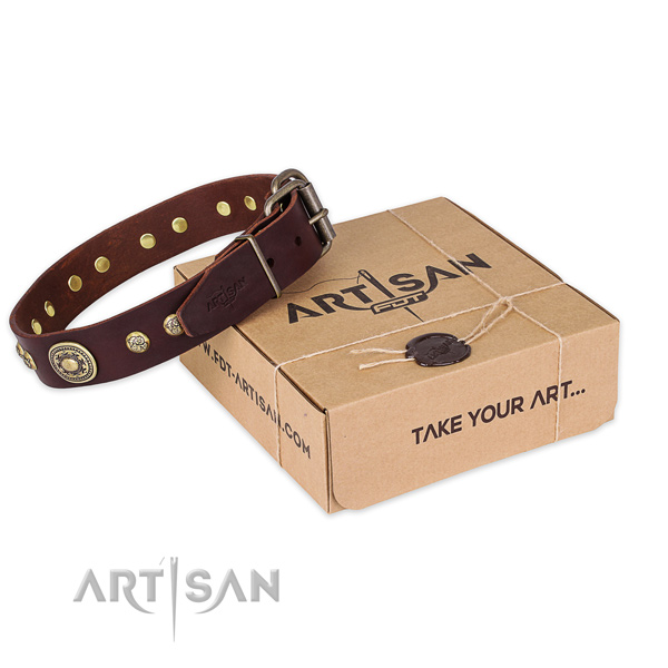 Supple brown leather dog collar