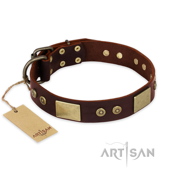 Adorned brown leather dog collar