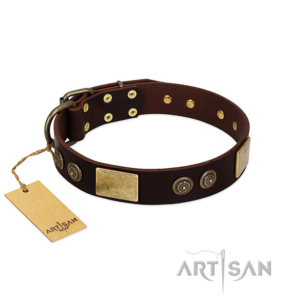 Comfortable brown leather dog collar