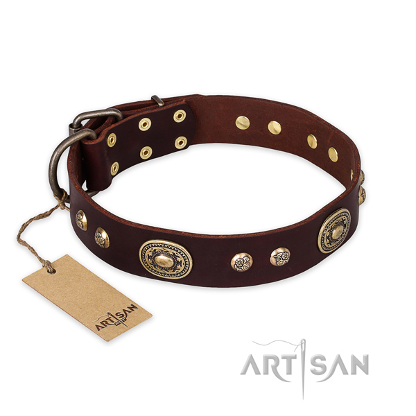 Brown leather dog collar with engraved studs