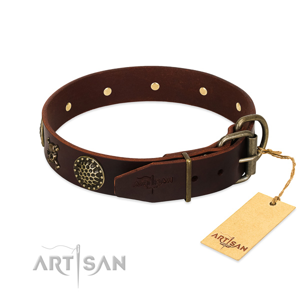 Fabulous FDT Artisan leather dog collar