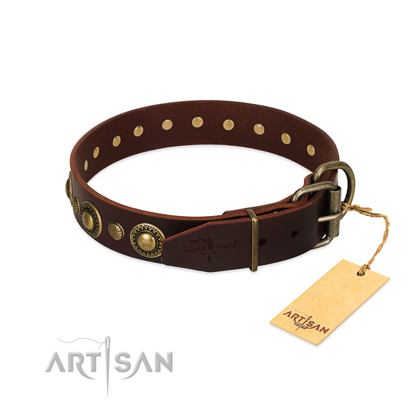 Fabulous FDT Artisan leather dog collar