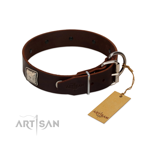 Fabulous FDT Artisan leather dog collar