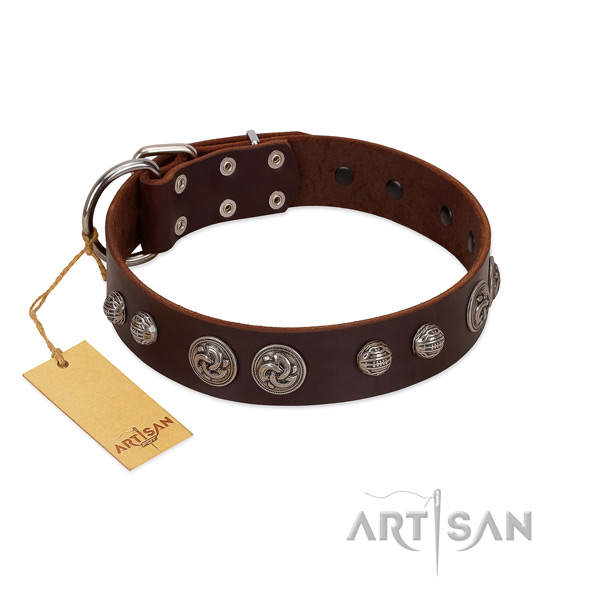 Handmade brown leather dog collar for everyday activities