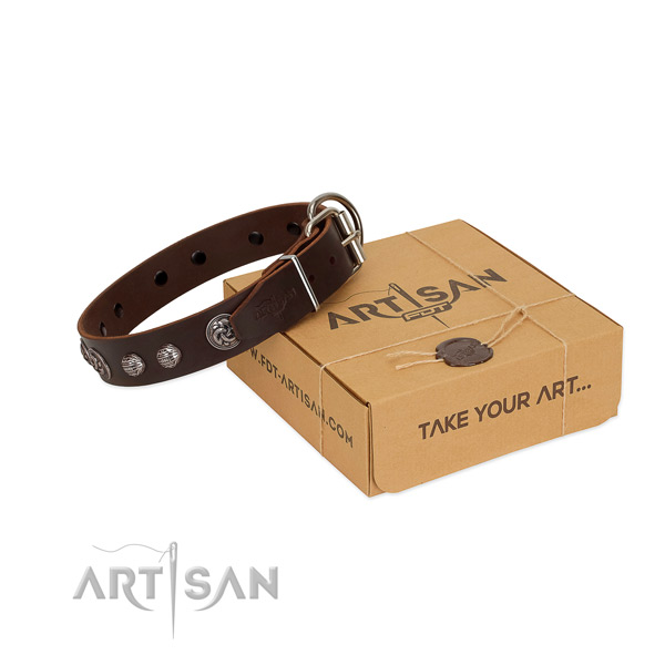 Brown genuine leather dog collar with amazing decorations