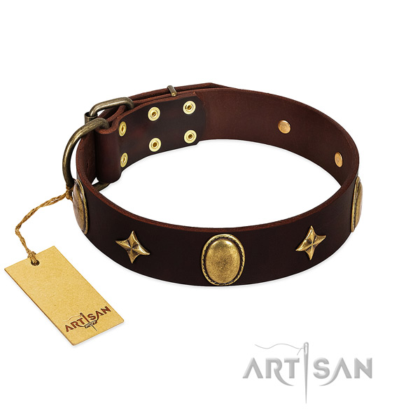 Marvelous brown leather dog collar with stars and ovals
