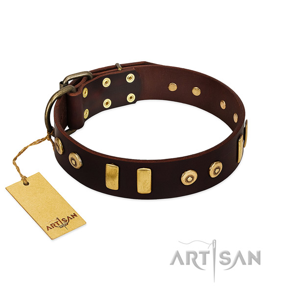Brown dog collar made of top quality materials