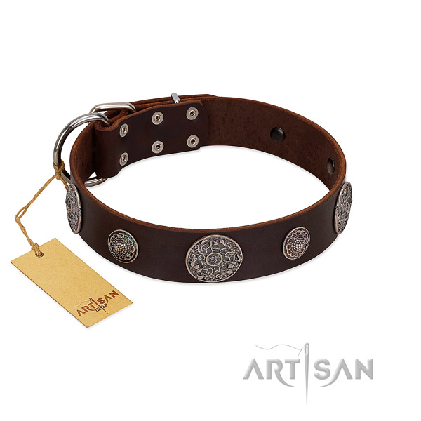 Designer brown leather dog collar comfortable wear