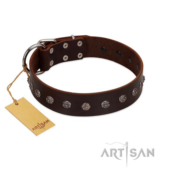 Fabulous FDT Artisan brown leather dog collar