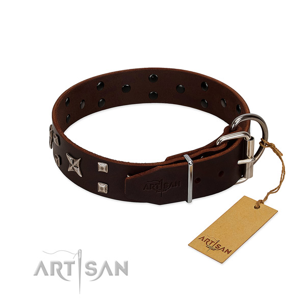 Fancy Leather Dog Collar with Sturdy Fittings