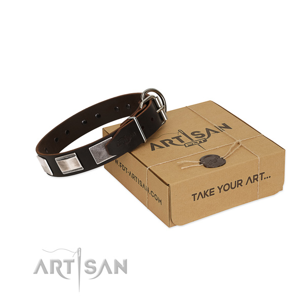 FDT Artisan leather dog collar for your best dog