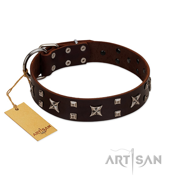 Decorated Brown Leather Dog Collar for Everyday Activities