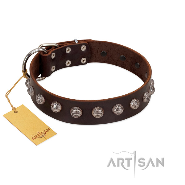 Elegant FDT Artisan leather dog collar