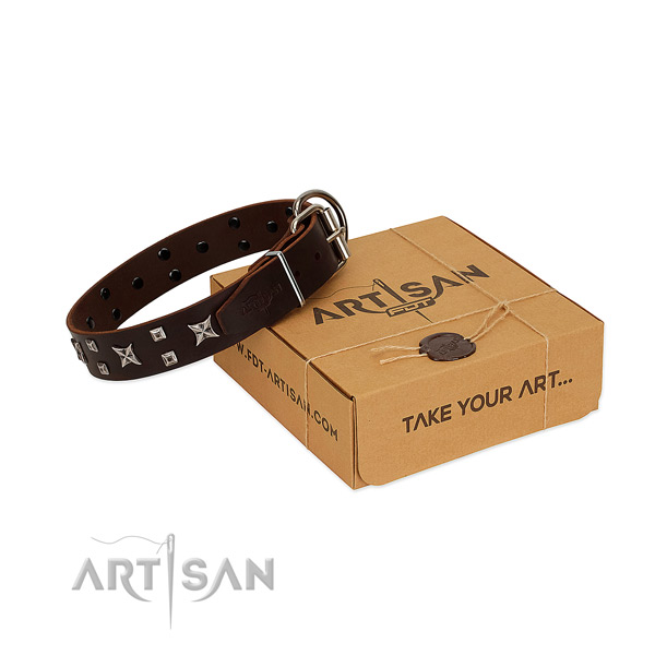 Brown Leather Dog Collar Will Amaze You with Its Strength