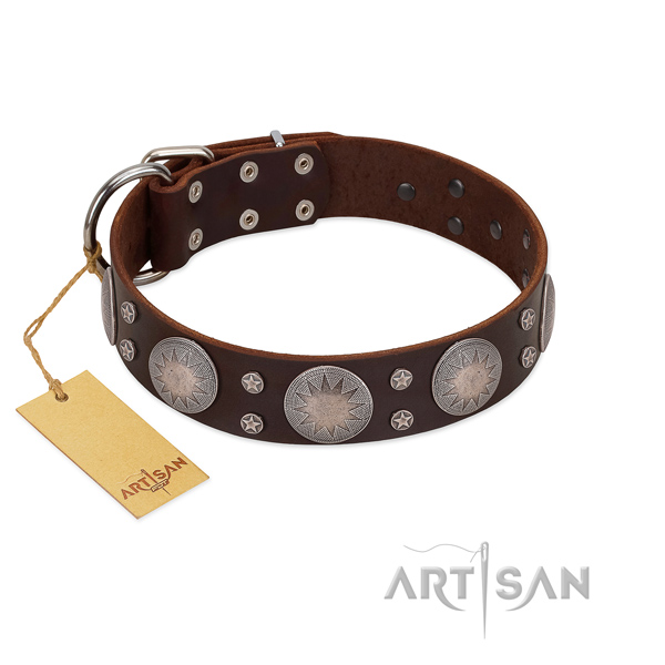 Powerful FDT Artisan brown leather dog collar for strong dogs