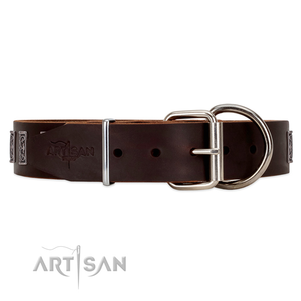 Leather dog collar with old silver-like hardware