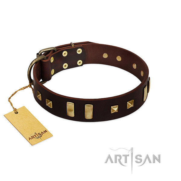 Trendy Brown Leather Dog Collar Adorned with Plates and Square Studs
