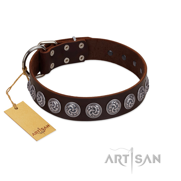 FDT Artisan brown leather dog collar has gorgeous look