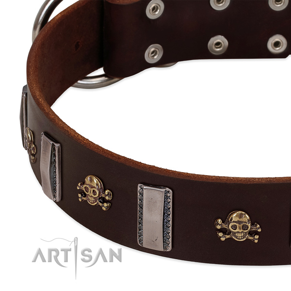 FDT Artisan dog collar with silver-like decoration