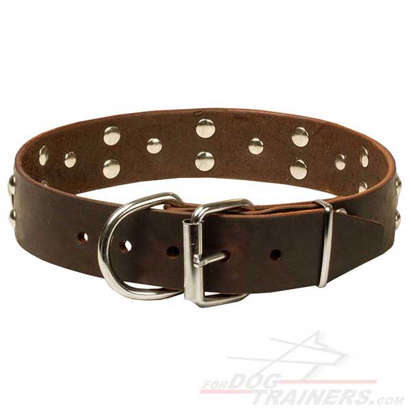 Nickel-plated Fittings on Leather Dog Collar