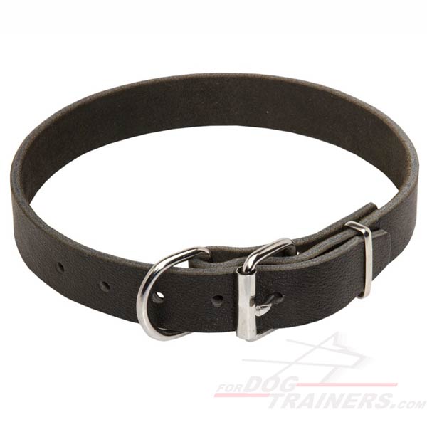 Traditional Leather Collar