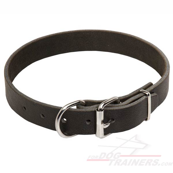 Everyday Leather Dog Collar