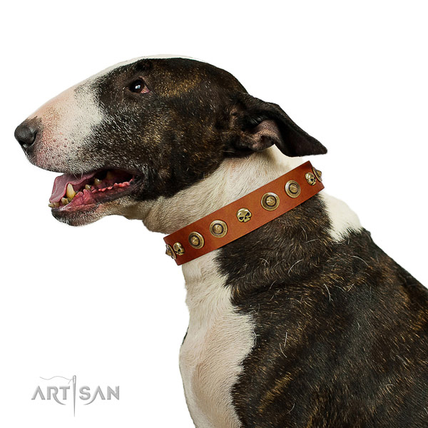 Soft leather Bull Terrier collar for better handling during walks