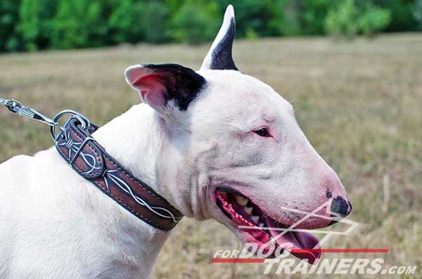 Hand Painted Leather Bull Terrier Collar