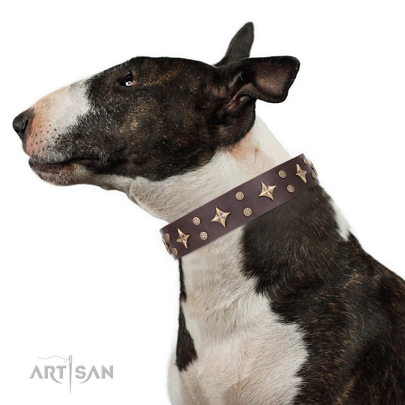 Acorn Brown - Leather dog collar with solid brass hardware – Kohsi