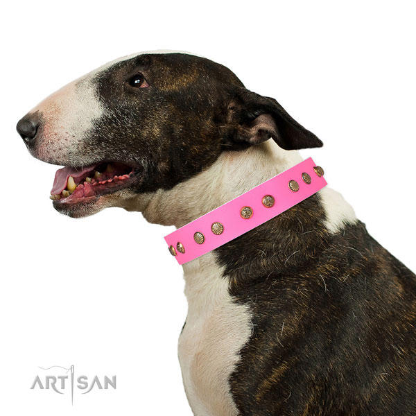 Bull Terrier fancy walking dog collar of top quality genuine leather