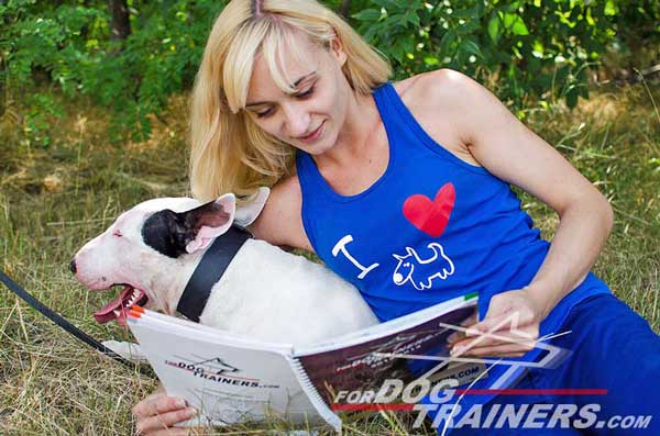 Training Collar for Strong Bull Terrier