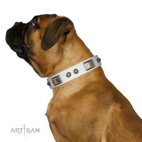 Adjustable leather Bullmastiff collar for walking