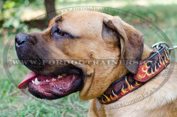 Painted Leather Cane Corso Collar