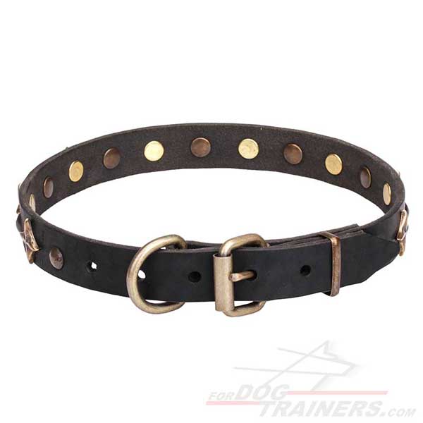 K9 Leather Collar with Old Bronze Plated Steel Hardware