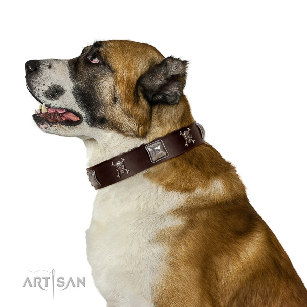 Soft Leather Central Asian Shepherd Collar is Comfortable to Wear