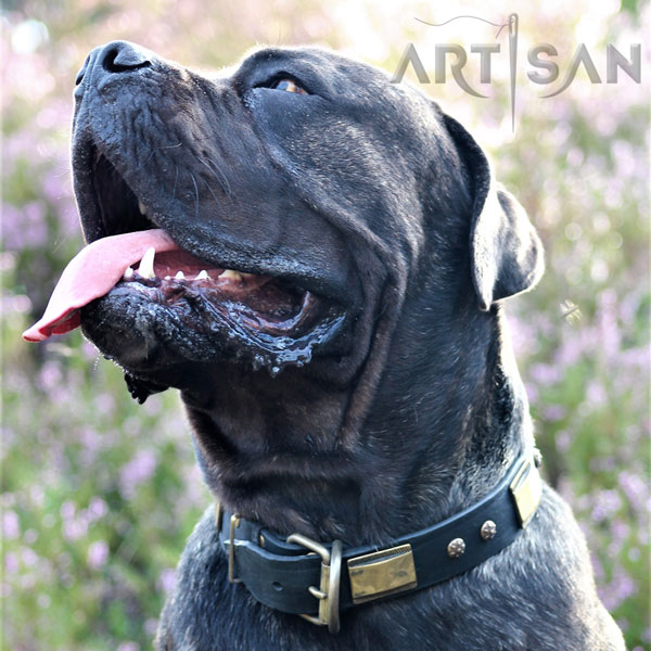 Handmade Leather Cane Corso Collar with Rust-proof Hardware