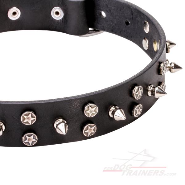 Chrome Spikes and Stars on Walking in Style Leather K9 Collar