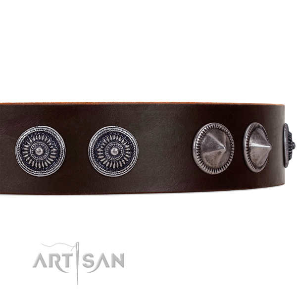 Brown leather dog collar with riveted ornate brooches