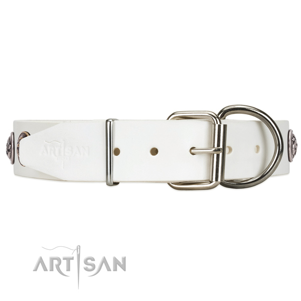 FDT Artisan leather dog collar with chrome plated steel hardware