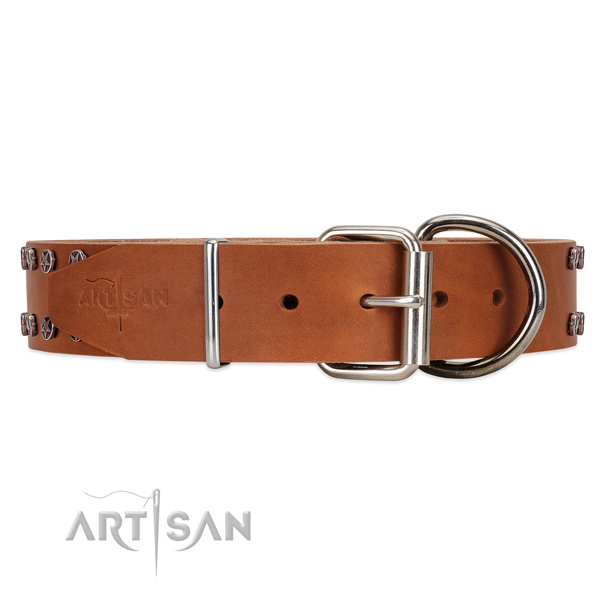 Leather dog collar with silver-like hardware