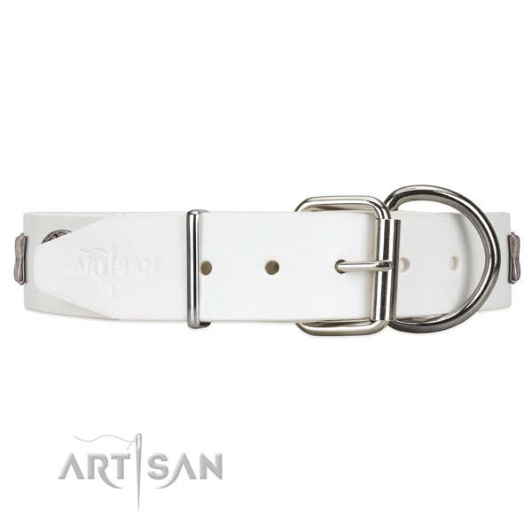 Unique Design Dog Collar with Chrome-plated Steel Buckle and D-ring
